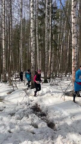 Several people are trail running through a snowy forest. The trees are tall, thin, and mostly bare with white bark. The ground is covered in snow with some bare patches of dirt and debris. The first runner is a woman wearing a black vest, a long-sleeved pink shirt, a colorful hat, black leggings, and running shoes. She is wearing a race bib numbered 483. She is followed by a man in a blue jacket and a hat with race bib number 565. Other runners are visible in the background.