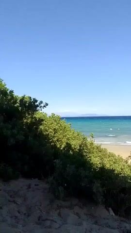 A wide shot shows a bright blue sky above a calm turquoise ocean. On the left, dense green foliage partially obscures the view of a sandy beach. Several figures are visible in the water, appearing to swim or float. On the beach, there are two small structures. The overall scene suggests a serene coastal environment.