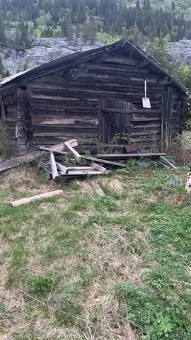 The video shows an old, weathered log cabin in a natural setting. The cabin is constructed of dark, rough-hewn logs, with a rusty, corrugated metal roof. A shovel hangs on the front of the cabin near a wooden door. Debris from broken wooden structures is scattered in front of the cabin on a grassy area. The grass is a mix of green and brown, suggesting early spring or late fall. Behind the cabin, a mountain slope covered in dense green forest rises. A small waterfall is visible on the mountain in the distance.  The overall impression is of a remote and abandoned place.