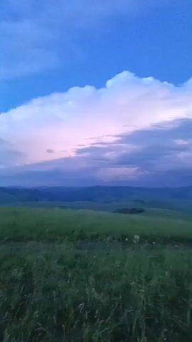 This is a vertical video of a landscape at dusk. In the foreground, there is a field of tall, green grass. In the middle ground, there are rolling hills covered in grass and scattered trees. In the background, there are mountains silhouetted against the sky. The sky is a deep blue with large, white clouds tinged with pink and purple. The overall impression is one of a tranquil, natural scene at the end of the day. There are no people or man-made objects visible in the video. The camera appears to be stationary.