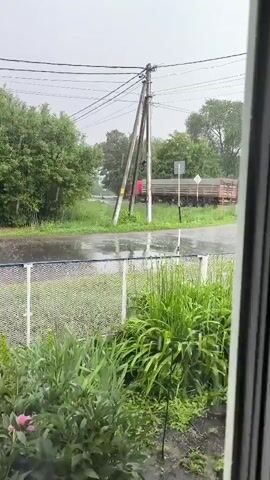A truck drives down a wet road during a rainstorm, passing by a utility pole and a grassy area with a fence and plants.