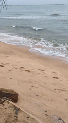 Quiet Phú Quốc beach morning with blooming garden nearby