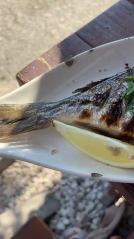 The video shows a close-up, top-down view of a whole grilled fish served on a white oval plate. The fish is garnished with chopped green herbs, likely parsley or cilantro, and a lemon wedge sits at the bottom left of the plate. The plate rests on a dark wooden table, which appears to be outdoors, as indicated by the blurred background showing gravel and sunlight. The camera slowly pans across the fish, highlighting its grilled texture and the herb garnish. There is a brief glimpse of a woven basket in the upper right corner and a person's legs and feet in a floral skirt at the bottom of the frame. The overall scene suggests a meal being served at an outdoor restaurant or cafe.