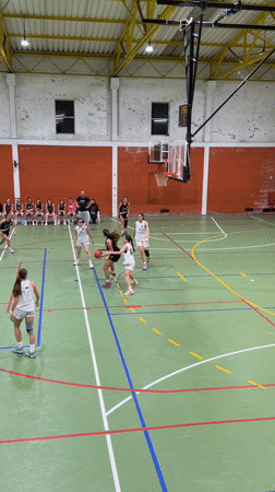 Basketball game captured at Porto gymnasium Friday evening