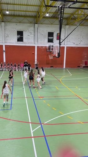 Basketball game captured at Porto gymnasium Friday evening