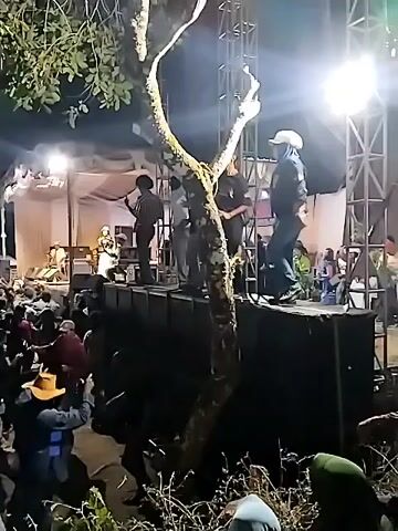 The video shows a nighttime outdoor concert or festival. A band is performing on a stage, with musicians visible behind large speaker cabinets. A dense crowd of people are gathered in front of the stage, many appearing to be dancing or enjoying the music. The area is lit by stage lights and overhead lighting. A large tree with branches is in the foreground, partially obscuring the view. The overall atmosphere appears lively and energetic.