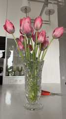 Person arranges pink tulips in kitchen vase in Moscow