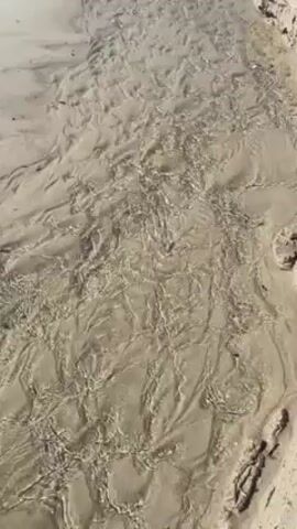 The video begins with a close-up shot of a sandy area on a beach, where water has carved multiple small channels. The camera pans upwards, revealing that this stream of water flows into the ocean. A person walks across the beach in the background. The day appears to be sunny and clear.