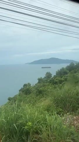 The video shows a view from a moving vehicle looking out over a body of water. In the distance, a large cargo ship is visible. The foreground is filled with lush green vegetation, including tall grasses and trees, suggesting a hillside location. Overhead, a series of power lines run across the frame. The sky is overcast, with a pale, cloudy appearance. The camera pans slightly, providing a dynamic perspective of the landscape and the ship.