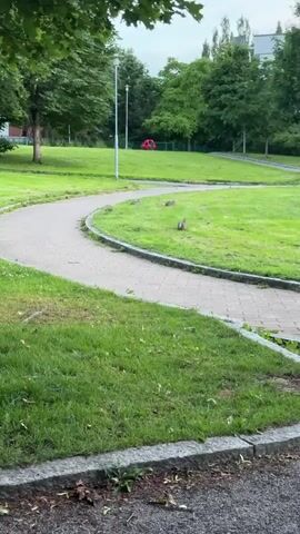 This is a video of a park in Helsinki, Finland. The scene is set with lush green grass, trees, and a winding paved pathway. Several rabbits are visible grazing on the grass. In the background, there's a red structure, possibly playground equipment, and some buildings. The time of day appears to be overcast, suggesting it might be morning or late afternoon. The overall mood is peaceful and natural. There is no visible text in the video.