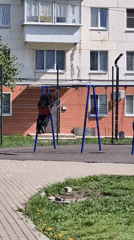 Morning snapshots capture everyday life across multiple locations