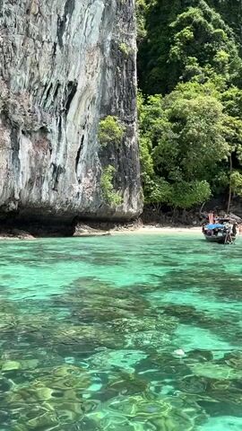 The video opens with a view of a sheer, grey cliff face on the left, lush green trees covering the hillside on the right, and the crystal-clear turquoise water in the foreground. Several longtail boats are moored near a sandy beach, and some people are visible on the beach and in the water. A white and orange speedboat approaches the shore, creating a wake as it moves.