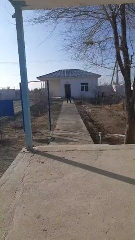 The video shows a view of a one-story white building with a dark gray roof under a clear blue sky. The building has a single window visible to the right of the front door. A person dressed in dark clothing is walking along a concrete path leading towards the building's entrance. The path is flanked by dry, barren land with sparse vegetation and small, leafless trees. In the foreground, a concrete slab is partially visible, along with a light blue metal post and a portion of a roof overhang. A tall, bare tree stands to the right side of the frame, its branches reaching towards the sky. Power lines are faintly visible in the background. The scene appears to be in a rural or undeveloped area, likely during the late fall or winter.