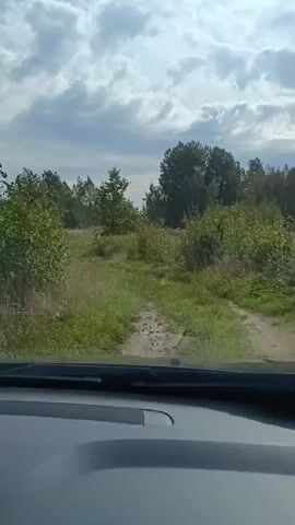 The video shows a view from inside a vehicle driving on a dirt path through a grassy field with trees on either side. The sky is cloudy. The vehicle appears to be moving forward.