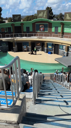 Evening marine park visit captures sea lion show, flamingo exhibit