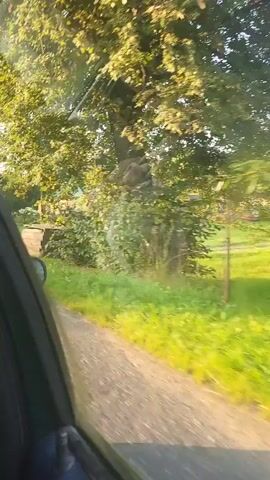 The video shows a view from inside a car as it drives past a rural area. There are houses and trees visible, along with a dirt road. The sun is shining, and the sky is blue. There are no people visible in the video. The footage is blurry due to the motion of the car.