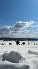 Snow-covered landscape documented in Nevon, Russia under clear skies