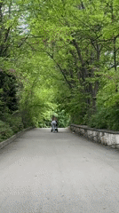 Woman pushes stroller on tree-lined path in Varna