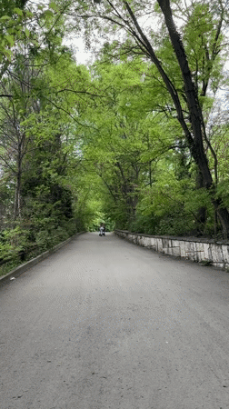 Woman pushes stroller on tree-lined path in Varna