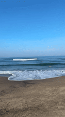 Peaceful beach scene with dogs captured in Kediri, Indonesia