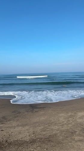 Peaceful beach scene with dogs captured in Kediri, Indonesia