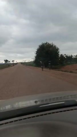 This is a first-person perspective video taken from inside a vehicle. The vehicle is driving on a dusty, unpaved road. The road stretches into the distance, flanked by flat land and scattered trees. On the right side of the road, a person is walking and appears to be carrying a yellow object. In the distance, a line of palm trees is visible against a cloudy sky. The overall environment appears rural and somewhat undeveloped. The timestamp indicates the video is 4 seconds long.