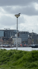 Amsterdam waterfront and streets documented in Friday morning snapshots