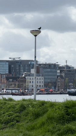 Amsterdam waterfront and streets documented in Friday morning snapshots