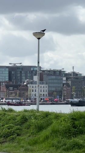 Amsterdam waterfront and streets documented in Friday morning snapshots
