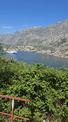 Elevated view captured over vegetation toward water in Montenegro