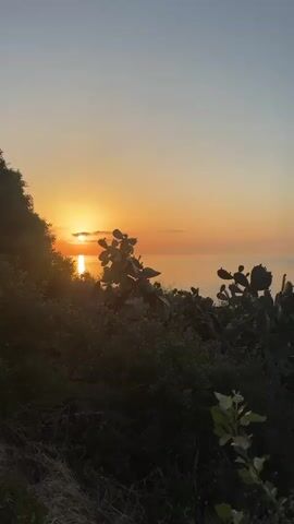 The video opens with a beautiful sunset scene over the sea. The sun, a bright orange orb, is just above the horizon, casting a warm glow across the sky, which transitions from fiery orange near the sun to a softer blue above. In the foreground, silhouetted against the bright light, are several large prickly pear cacti and other dense vegetation.

As the camera pans slowly to the left, the sun disappears from view, and the sky becomes a serene gradient of soft orange, pink, and pale blue. The calm, almost mirror-like surface of the sea stretches out to the horizon. A small, dark object can be seen briefly in the distant sky.

The pan continues, revealing a large, dark, mountainous landmass rising from the sea in the distance. The water retains its glassy smoothness. Further panning exposes a picturesque coastal landscape. A charming town or village is nestled along the curved shoreline, with numerous buildings spread across the verdant hillsides. The sea closer to the shore displays stunning shades of turquoise and blue. A small beach area with visible sun loungers or umbrellas, and a few boats, including a red inflatable one, are present. Some structures, possibly remnants of an old factory with a tall chimney, are visible near the water's edge. The foreground remains lush with Mediterranean vegetation, including various shrubs and smaller plants.

The scene depicts a tranquil evening atmosphere in Lipari, Italy, characterized by the beautiful hues of dusk, calm waters, and the rugged, verdant coastline.
