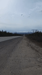 Rural Russian road documented by multiple witnesses