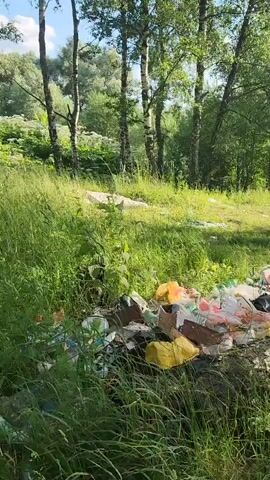 The video depicts an outdoor scene in a natural setting, likely a park or wooded area, with a noticeable amount of litter strewn across the ground. The foreground is dominated by a pile of garbage, including plastic bags, bottles, and other discarded items, accumulating around the base of a fallen log. Beyond the immediate area of discarded waste, the scene transitions to a grassy clearing with several birch trees. Sunlight filters through the leaves, suggesting it is daytime, possibly late morning or afternoon, and the weather appears to be fair. The overall impression is one of neglect and environmental damage due to illegal dumping. There are no people visible in the footage. The location context is identified as Yudino, Russia.