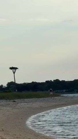 A person is walking on a beach next to a body of water. There is a large bird nest on a pole to the left of the frame. The sky is cloudy. The water is rippling. There are trees in the background.
