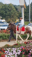 Horses, lakeside strolls, and a quiet Da Lat morning