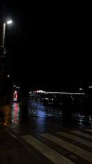 Rainy evening captures tulips and wet streets in Sofia