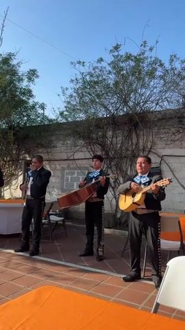 A mariachi band of six people plays outdoors on a red brick patio on a sunny day. The musicians are dressed in black mariachi suits with white belts, silver buttons, and blue bowties. They play a variety of instruments, including trumpets, a vihuela, a guitarron, a guitar, and a violin. The band stands in front of a white stucco wall covered in vines. There are trees in the background, and tables covered with orange tablecloths and white folding chairs are scattered around the patio.