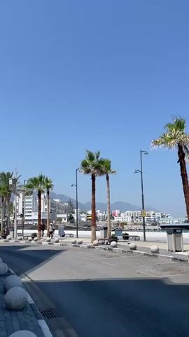 A bright, sunny day with a clear blue sky. The video pans across a street lined with palm trees. In the background, there are buildings, a beach, and distant mountains. The street has a paved road and a sidewalk with large, round concrete bollards. There are a few people walking on the sidewalk. Lampposts are also visible along the street.