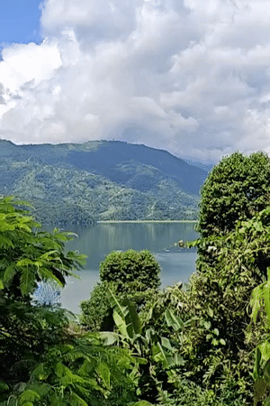 Rainy morning at Phewa Lake — nature, flags, and café details