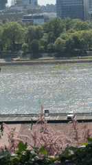 Person walks along sparkling waterway in Belgrade