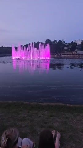 The video shows a large fountain with bright pink lights in the middle of a lake. The sky is a dark, twilight blue. In the foreground, two people are sitting on the grass, facing away from the camera, watching the fountain. Trees and buildings are visible on the far side of the lake.