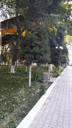 Fergana City, Uzbekistan