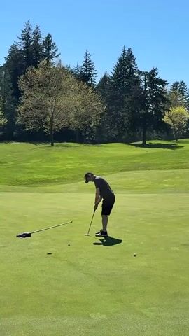 A man putts a golf ball on a green, then walks over to the hole and picks the ball out. He then picks up the flag pole. The scene is set on a sunny day on a green golf course with trees in the background.