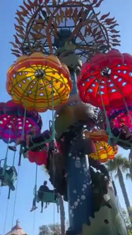 The video shows a colorful swing carousel in operation at an amusement park. The carousel features six seats suspended beneath large, dome-shaped umbrellas, painted in yellow, red, and magenta. People are seated in the swings as the carousel rotates. The central pole of the carousel is decorated with leaf-like shapes and white polka dots, and is topped with a circular metal structure with leaf-like extensions. The background is a clear blue sky with palm trees visible in the distance.