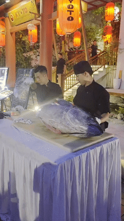 Whole tuna breakdown at a Đà Nẵng seafood venue