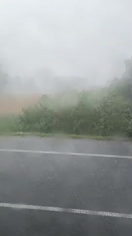 The video shows a foggy, rainy scene from the perspective of a vehicle moving along a wet asphalt road. The road has a white line marking its edge. To the right of the road, there is dense green foliage and trees, partially obscured by the fog and rain. The fog is thickest in the middle ground, creating a hazy, almost ethereal appearance. The sky is overcast and the overall atmosphere is muted and grey, indicating a heavy rainfall. There are no people or other vehicles visible in the frame. The soundscape consists of the sounds of rain and wind.