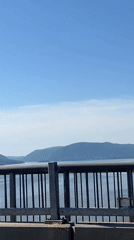Bridge crossing captured with scenic views and construction traffic