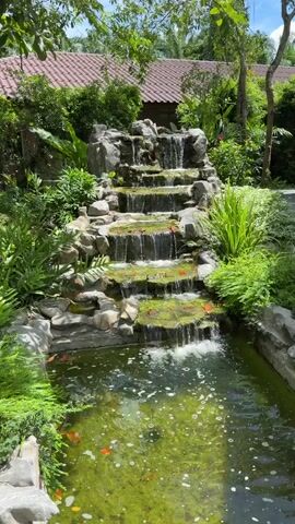 A multi-tiered waterfall cascades down a rock formation into a pond filled with green algae and some floating orange debris. Lush green vegetation surrounds the waterfall and pond. In the background, a building with a tiled roof is partially visible amidst trees. The scene appears to be outdoors on a sunny day.