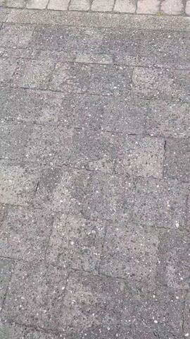 The video shows a close-up of a paved walkway or path. The paving is made of gray rectangular stones with small white speckled aggregates. The stones are laid in a regular pattern, and there are visible cracks between some of them. The lighting is slightly overcast. There are no visible people or objects moving in the scene.