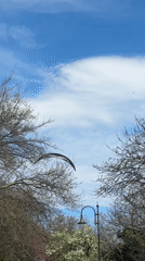 Paraglider soars over Varna, Bulgaria on spring afternoon